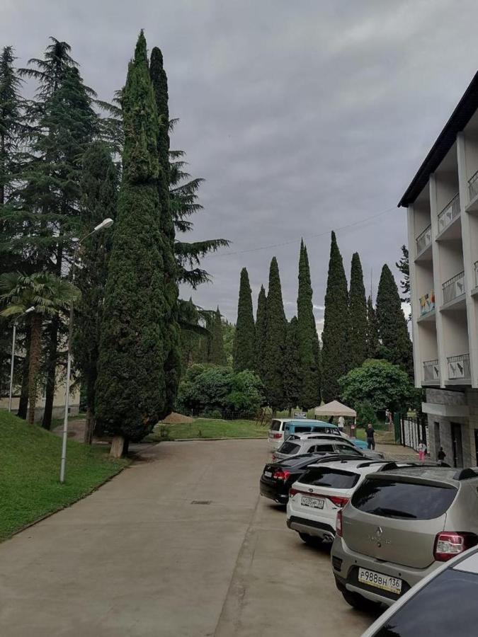 Sophia Apartment New Athos Ngoại thất bức ảnh